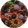 Sprinkles Mix Deluxe Black Orange 100g